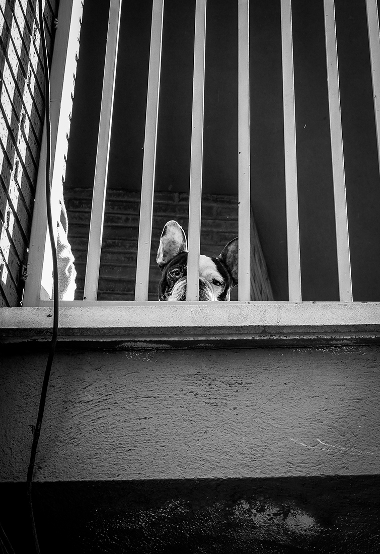 STREET Photography