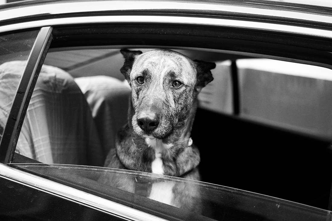 STREET Photography